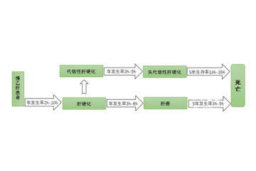 中國系全球乙肝病毒中高度流行區(qū)，用藥市場規(guī)模大（附報告目錄）