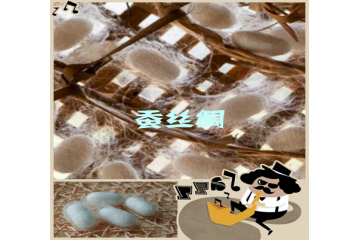 絲綢行業(yè)競(jìng)爭(zhēng)日益加劇與行業(yè)發(fā)展影響分析（附報(bào)告目錄）