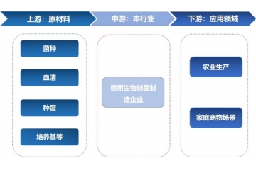 獸用生物制品行業(yè)全景解析：產(chǎn)業(yè)鏈、趨勢及競爭格局