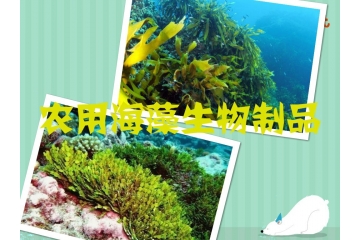 農(nóng)用海藻生物制品行業(yè)發(fā)展趨勢(shì)與前景分析（附報(bào)告目錄）